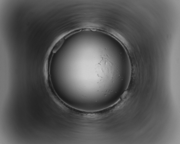 X0000099941128200805301212