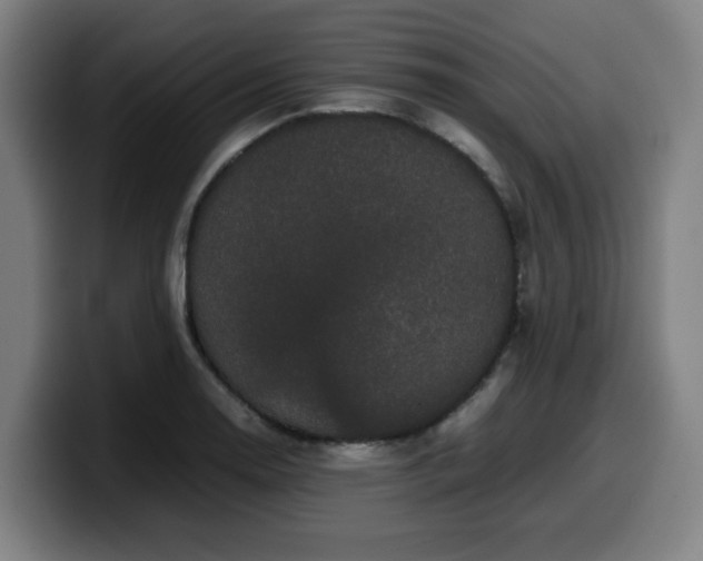 X0000099941130200805301212