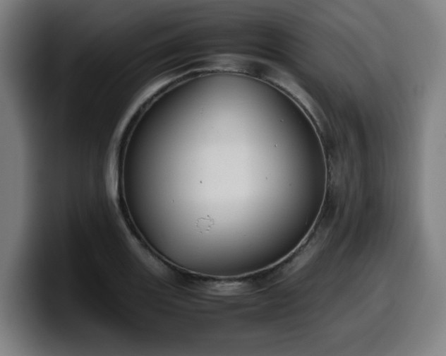 X0000099941131200805301212