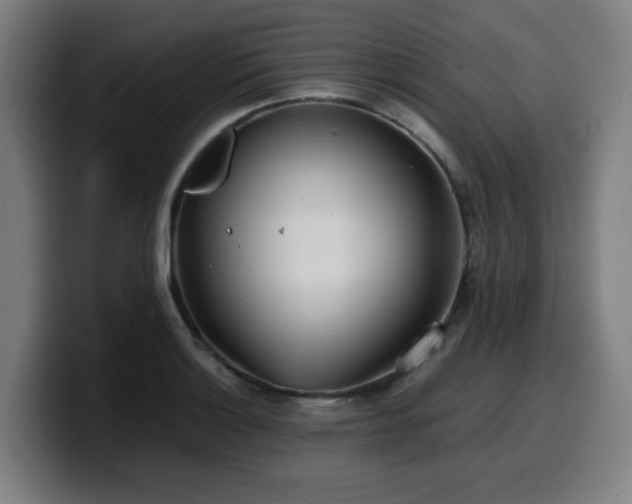 X0000099941132200805301212