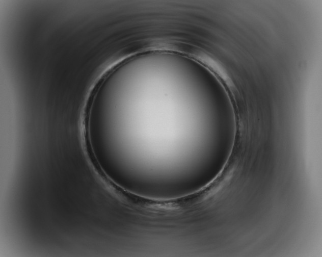X0000099941133200805301212