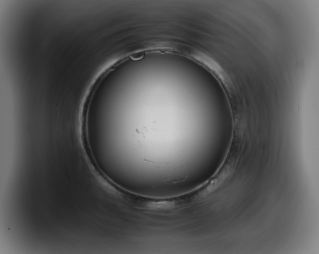 X0000099941135200805301212