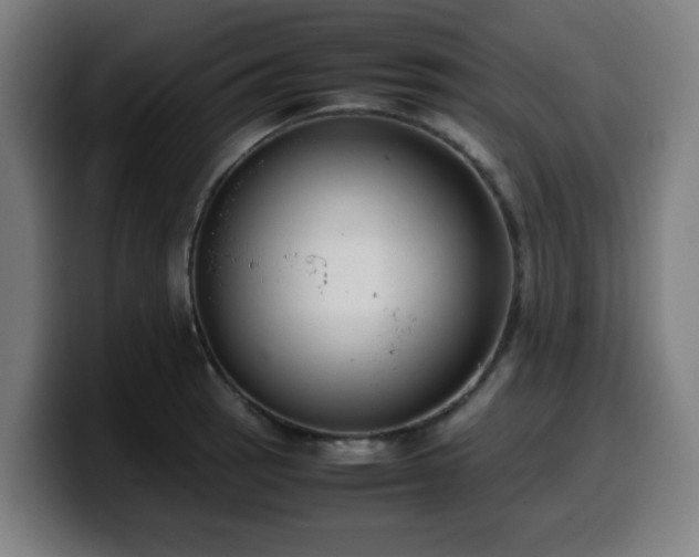 X0000099941137200805301212