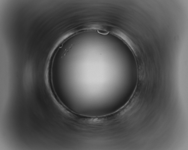 X0000099941139200805301212