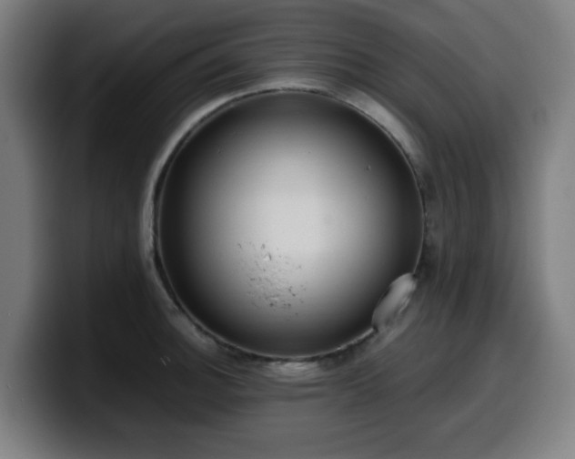 X0000099941140200805301212