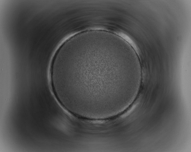 X0000099941141200805301212