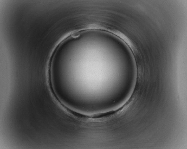 X0000099941142200805301212