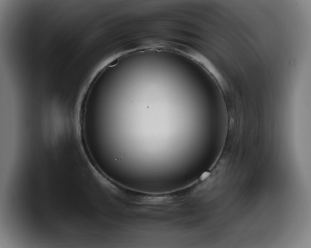 X0000099941143200805301212