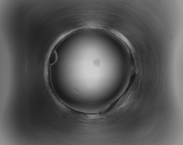 X0000099941144200805301212