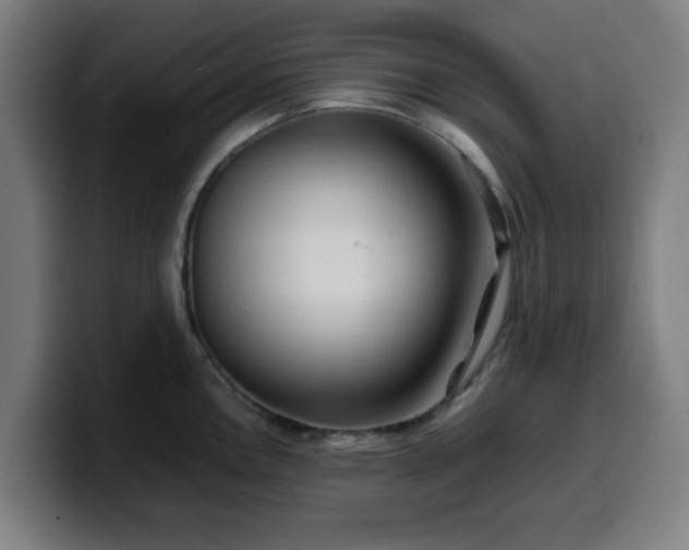 X0000099941146200805301212