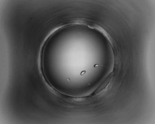 X0000099941147200805301212