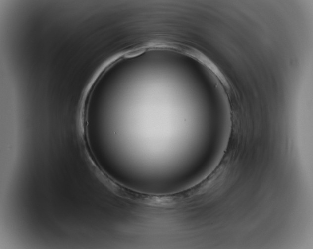 X0000099941148200805301212