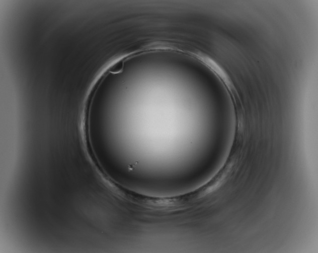 X0000099941149200805301212