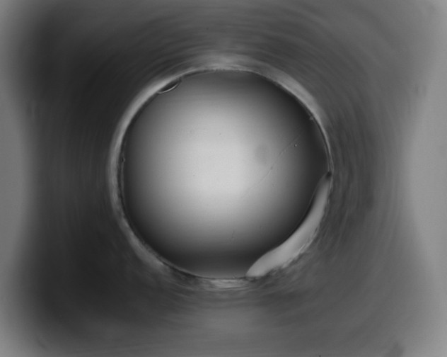 X0000099941152200805301212