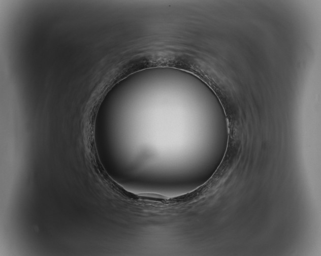 X0000099941153200805301212