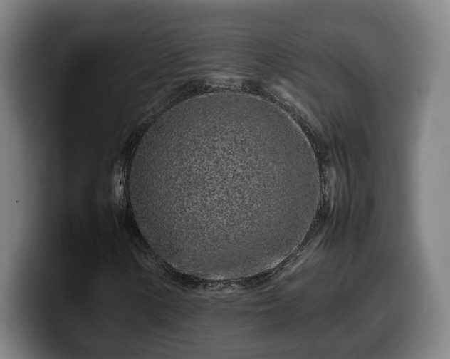 X0000099941154200805301212