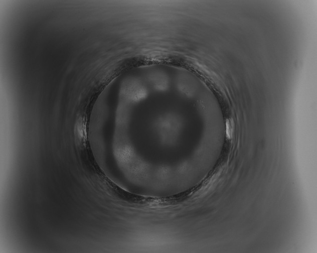X0000099941155200805301212