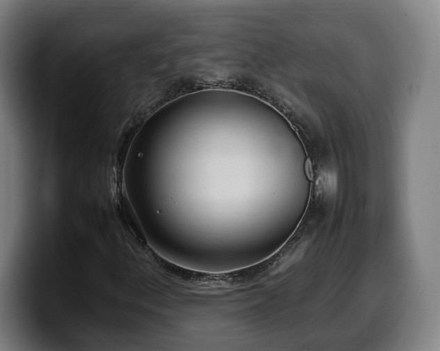 X0000099941156200805301212