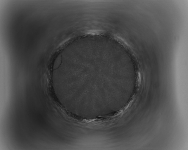 X0000099941158200805301212