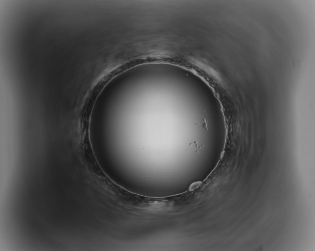 X0000099941160200805301211