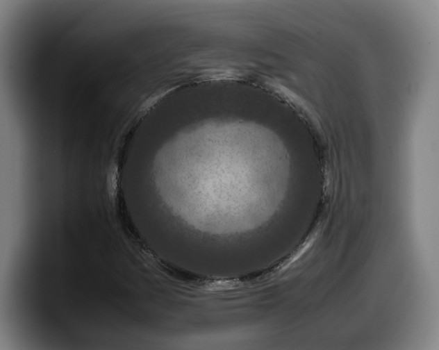 X0000099941161200805301211
