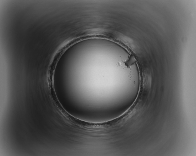 X0000099941164200805301211