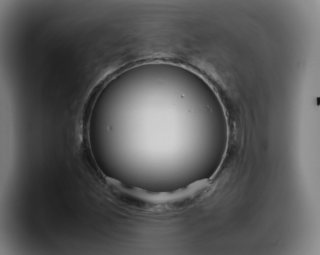 X0000099941165200805301211