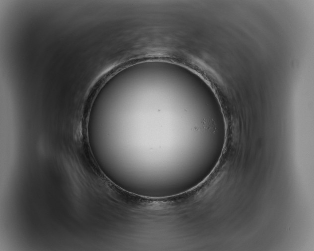 X0000099941166200805301211