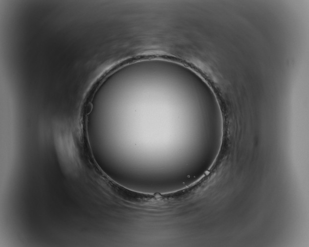 X0000099941167200805301211