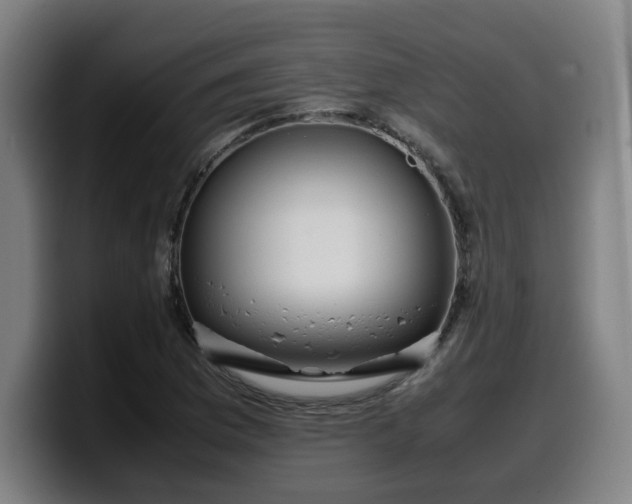 X0000099941169200805301211