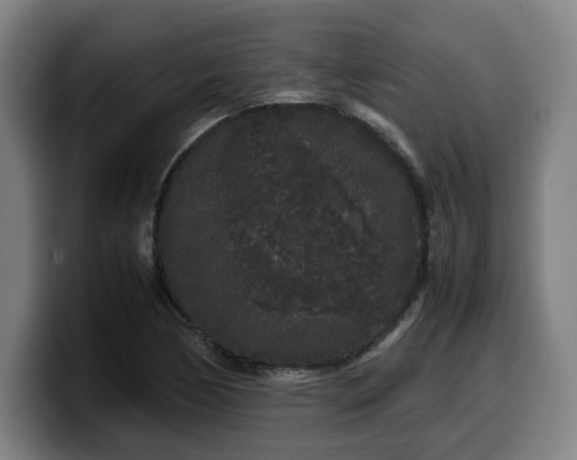 X0000099941170200805301211