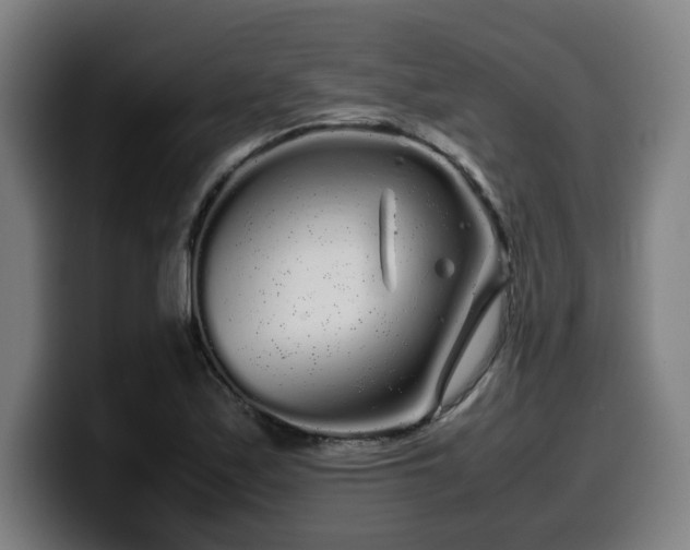 X0000099941171200805301211