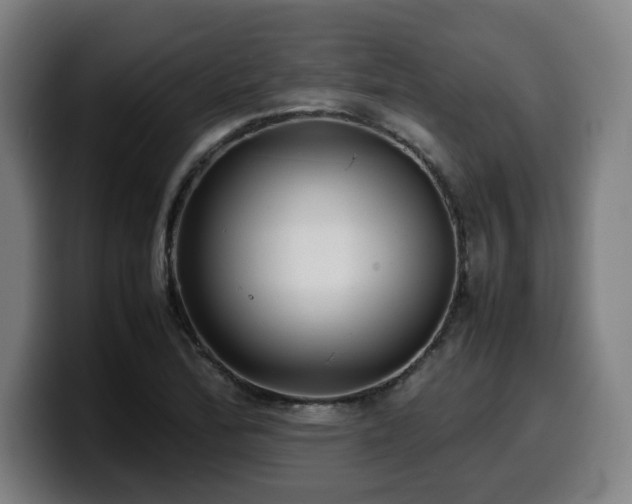 X0000099941172200805301211