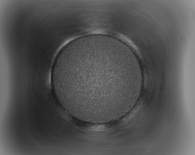 X0000099941174200805301211