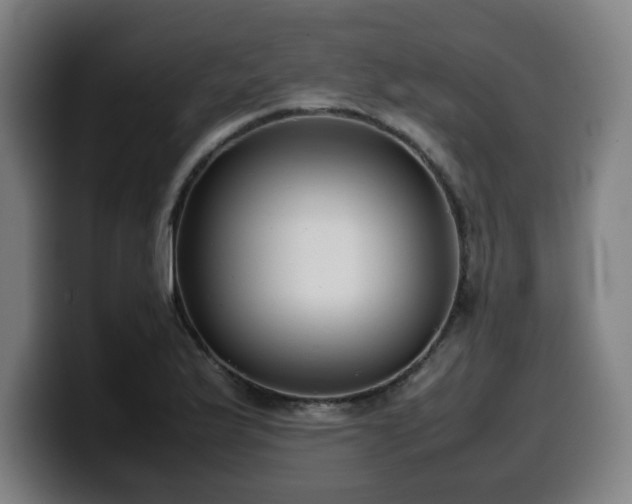 X0000099941175200805301211