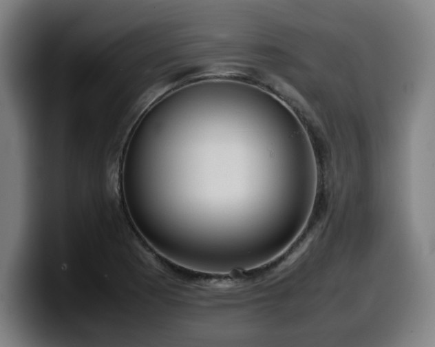 X0000099941177200805301211