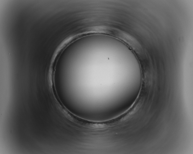 X0000099941180200805301211