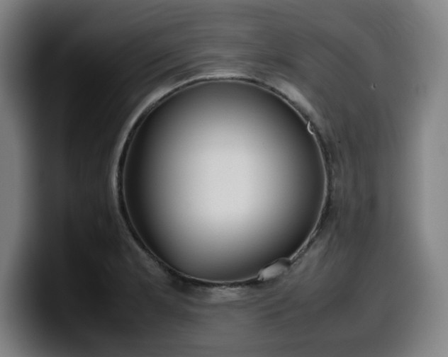 X0000099941181200805301211