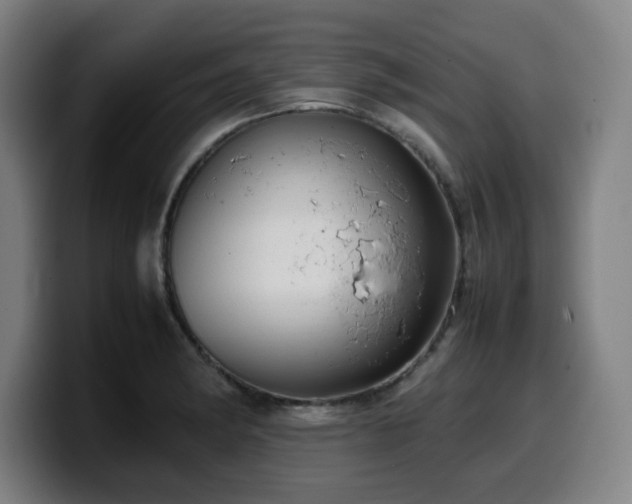 X0000099941182200805301211