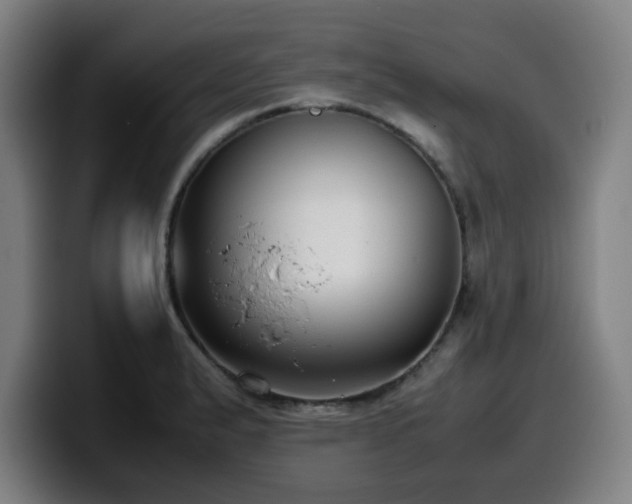 X0000099941183200805301211