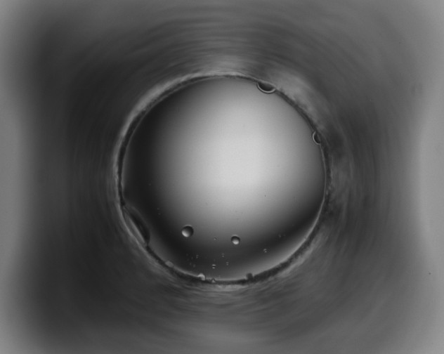 X0000099941184200805301211
