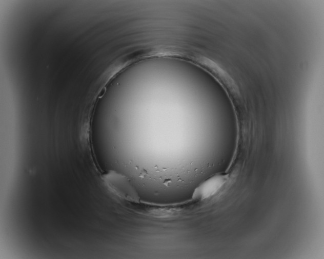 X0000099941185200805301211