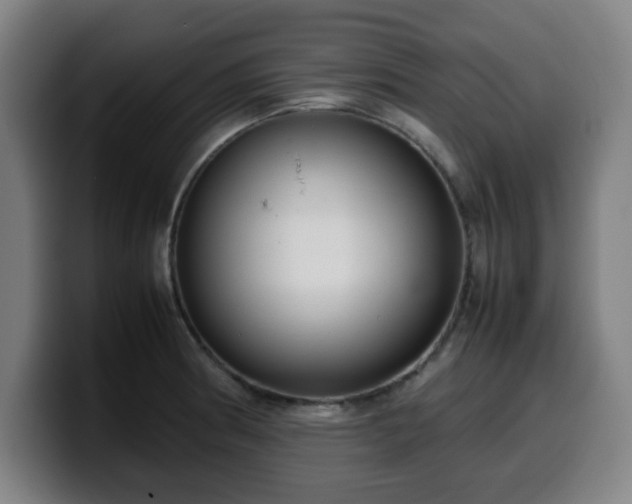 X0000099941186200805301211