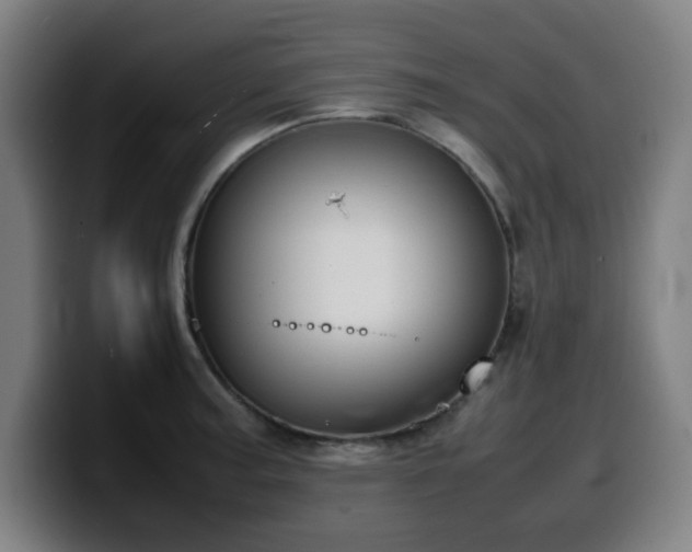 X0000099941187200805301211