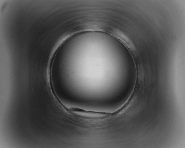 X0000099941188200805301211