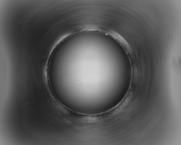 X0000099941190200805301211