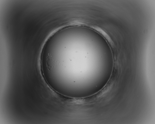 X0000099941191200805301211