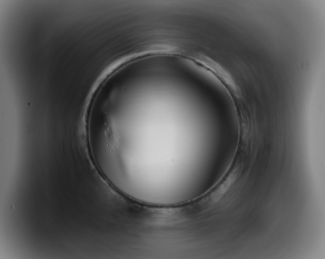 X0000099941192200805301211