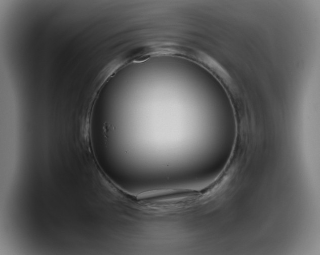 X0000099941193200805301211