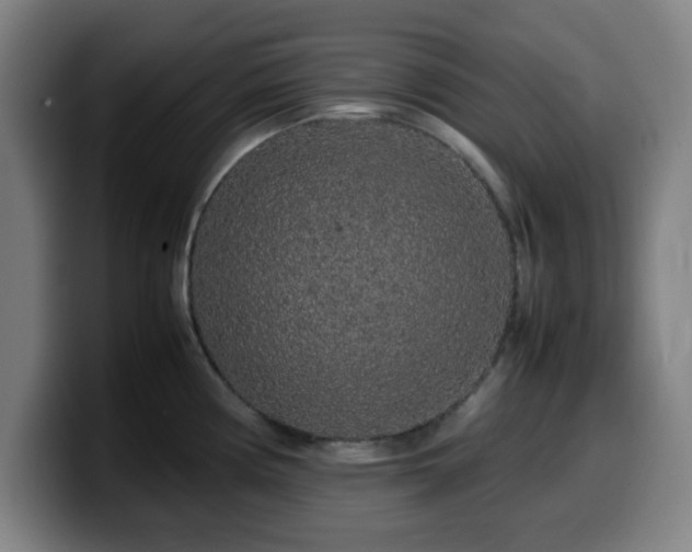X0000099941194200805301211